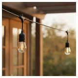48ft String Light/20 White -Light LED Edison Bulbs