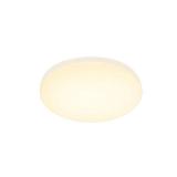 1 -Light LED Flush Mount Light with Plastic Shade
