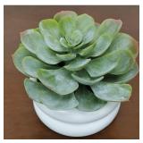 Indoor Desktop Succulent Artificial Plant