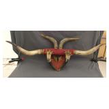 Longhorn Steer Hoof & Horn Mount 36'