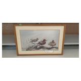 Cinnamon drake print by crowe