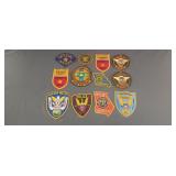 12 assorted patches including police, DNR,