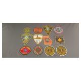 12 assortment law enforcement patches