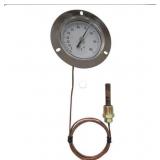 Analog panel mount thermometer