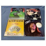 10 - Record album assortment