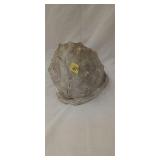 Conch shell 7' tall