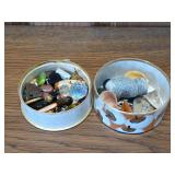 Fossils, glass beads, shells, pins