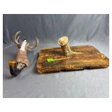Antler handle tray, deer head hook