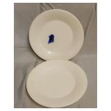 2- Glass plates 9'