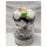 Glass Vase Filled with Shells 10'H