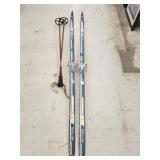 Fishscale Skis 81'w/Poles
