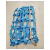 Cargo strap net
