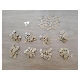 (441) Wheat Cents & (4) Steel Cents