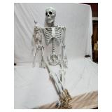 (1) 4ft Skeleton & (1) 2ft Skeleton