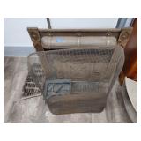 Cast iron fireplace insert and screen