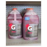 (3) 1G Gatorade Fruit Punch Concentrate