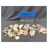 Plastic Terrarium & Seashells