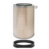 BALDWIN FILTERS Automotive Air Filter PA2573