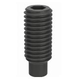 (2) Socket Set Screw Bags: M12x1.75 Thread Size