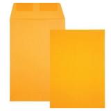 Quality Park  6 x 9 Catalog Envelopes - 500 Count