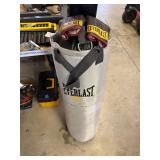 Everlast Weighted Punching Bag and Gloves