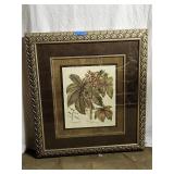 Ricinus maior Castor Oil Plant Print Framed