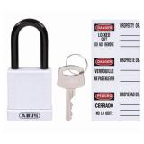 (6) Lockout Padlocks