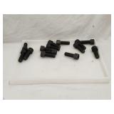 Plastic Tray w/(14)Hex Socket Cap Screw Bolt 3.5'L