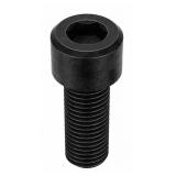 Socket Head Cap Screws-Box of 19