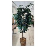 Artificial Ficus Tree In Woven Wicker Basket