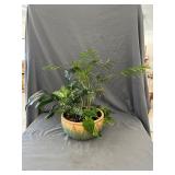 Variety of Houseplants in Ceramic Planter