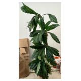 Artificial Bird's Nest Palm in Ceramic Planter