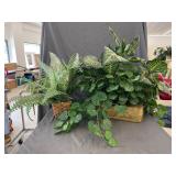 2 - Artificial Plants