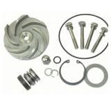 NIB Dayton Pump Repair Kit