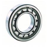New Fag Bearings Cylindrical Roller Bearing