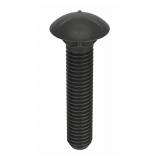 Carriage Bolts- 200PK: CAI50430125-100P