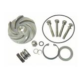 (2) NIB Dayton Pump Repair Kit