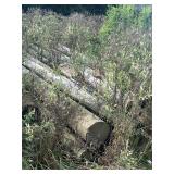 Approximately 25 Telephone poles 19ï¿½ plus long