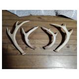 Two pair of deer antlers