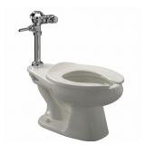 ZURN Bedpan Flush Valve Toilet