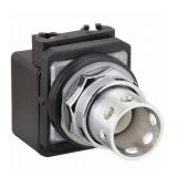 DAYTON Extended Push Button: 30G379