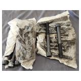 (20) Pc New 5/8'-11'ï¿½6' Hex Socket Head Bolts