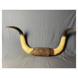 Mounted Steer or Bull Horns (Broken)