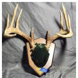 Vintage Deer Anter Plaque 10pt