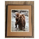 Three Bear Cubs Framed Print