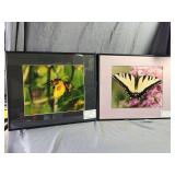 (2)Framed Tom Willman Photography 20'×16'