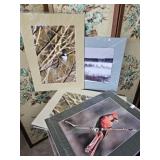 Signed Marland Artist Wild Life Prints Lot