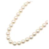 Tasaki Akoya Pearl Necklace Silver