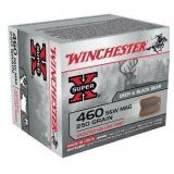 Winchester Super-X 460 SW Mag 250 GR ( 100 RDS )