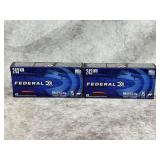 Federal Varmint & Predator 243 Winchester (40 RDS)